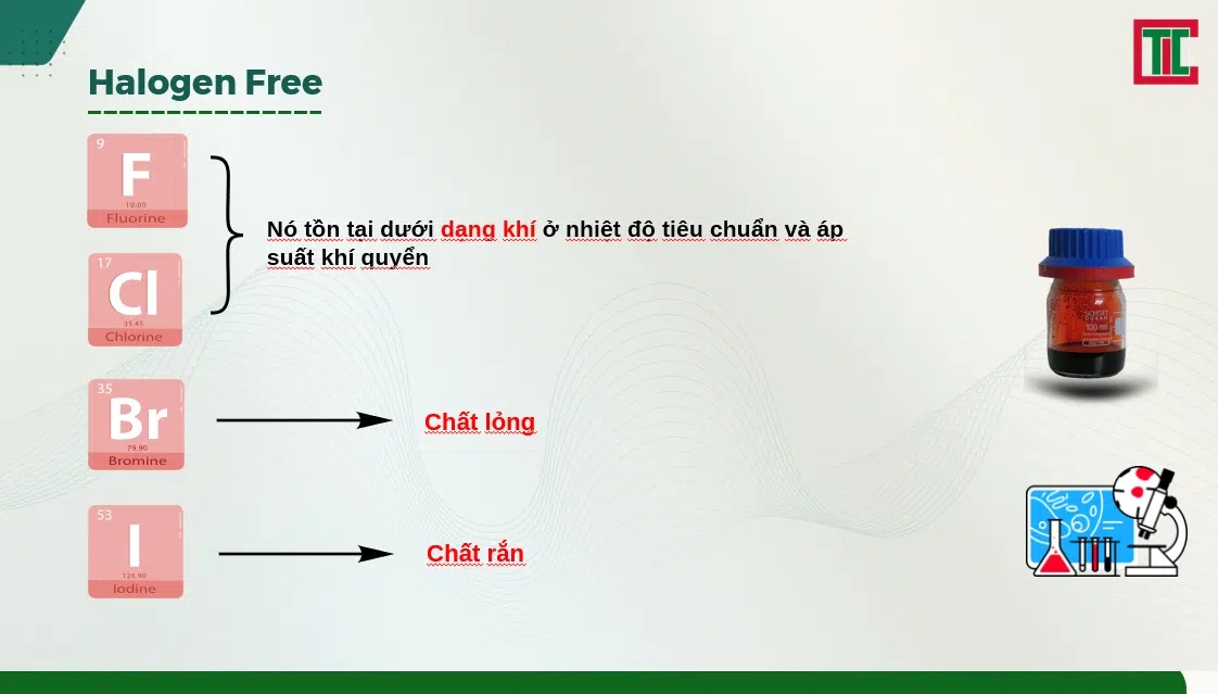 Các nguyên tố Halogen gồm những gì?